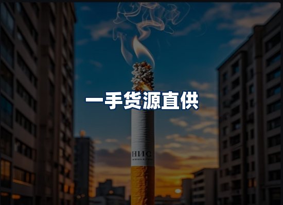 专业团队办公环境